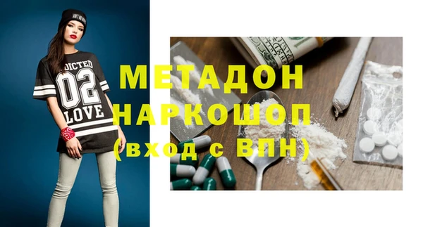 гидра Богданович