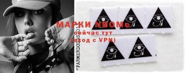 гидра Богданович