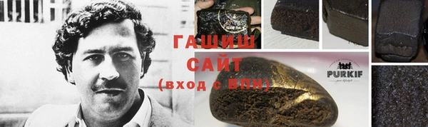 гидра Богданович