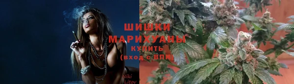 гидра Богданович