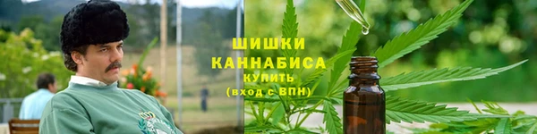 гидра Богданович