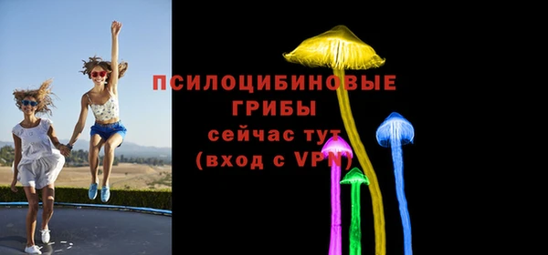 герыч Богородск