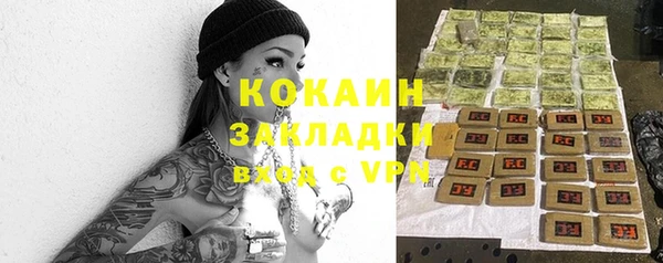 гидра Богданович