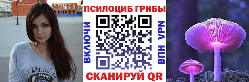 Галлюциногенные грибы Psilocybe  Котельниково 